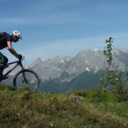 Lecurieabedous * Bedous