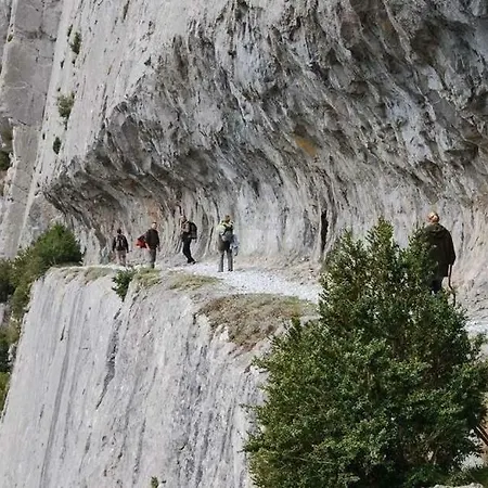 Lecurieabedous Bedous