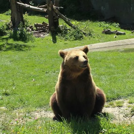 Lecurieabedous Appartamento Bedous