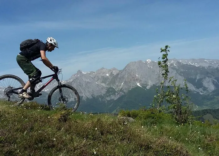 Lecurieabedous * Bedous