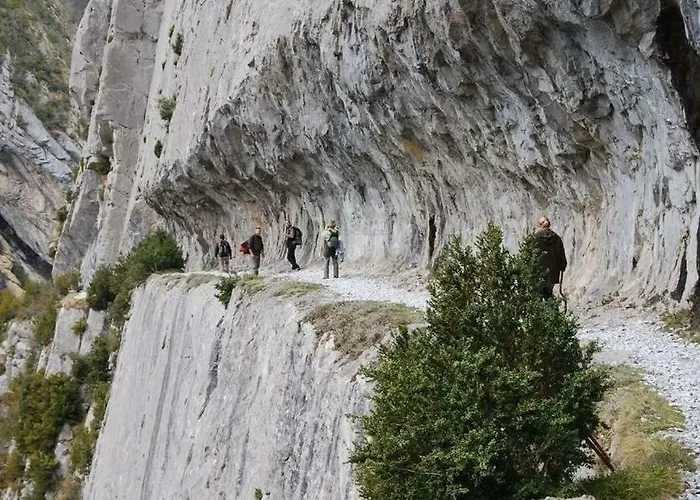 Lecurieabedous Bedous