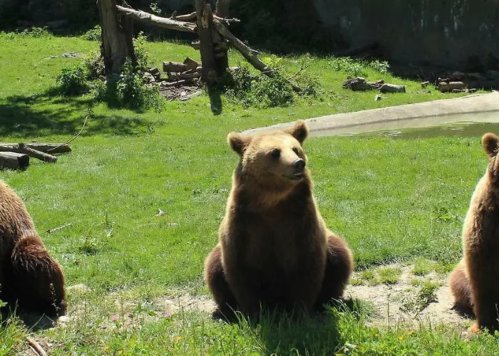 Lecurieabedous 아파트 Bedous